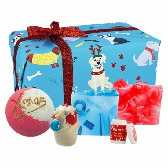 Santa paws Wrapped gift set