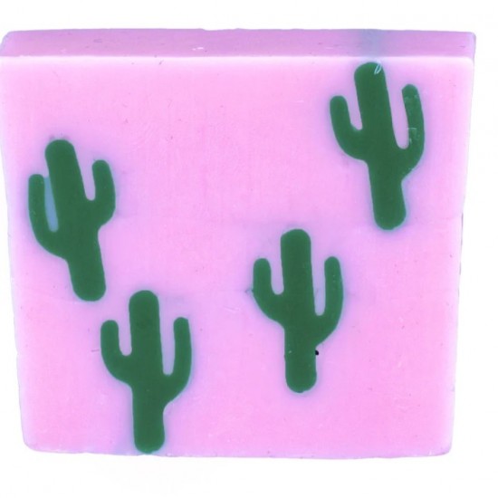 Cactus makes perfect soap slice